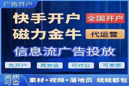 竞价广告的投放策略与效果评估——以一成功企业为例
